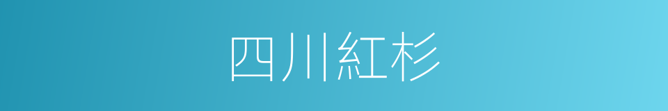 四川紅杉的同義詞