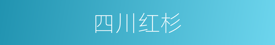 四川红杉的同义词