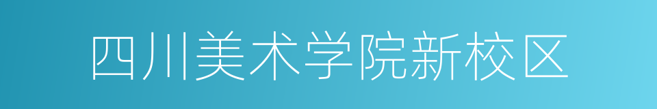 四川美术学院新校区的同义词