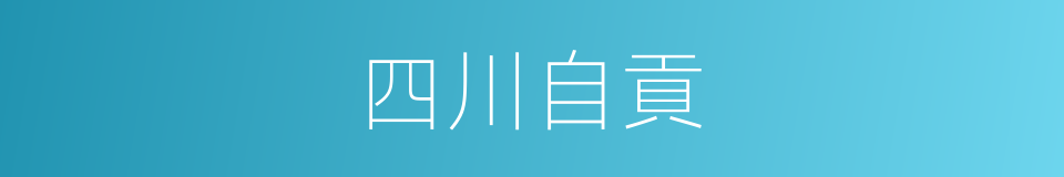 四川自貢的同義詞