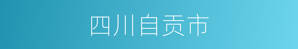 四川自贡市的同义词