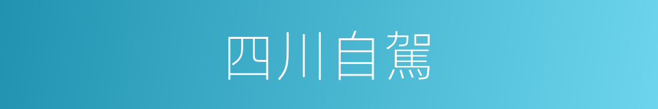 四川自駕的同義詞