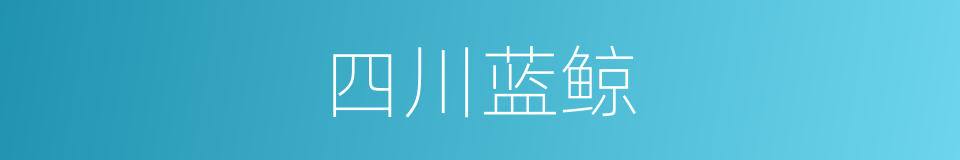 四川蓝鲸的同义词