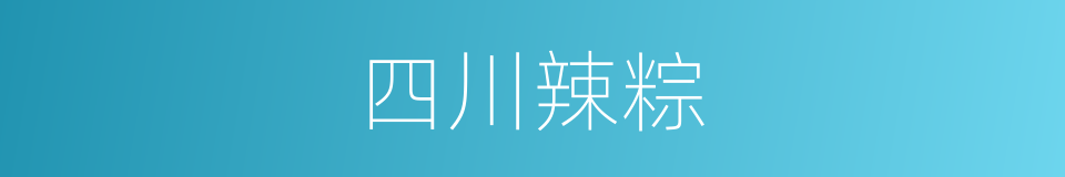 四川辣粽的同义词