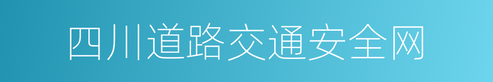 四川道路交通安全网的同义词