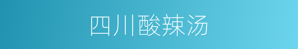 四川酸辣汤的同义词