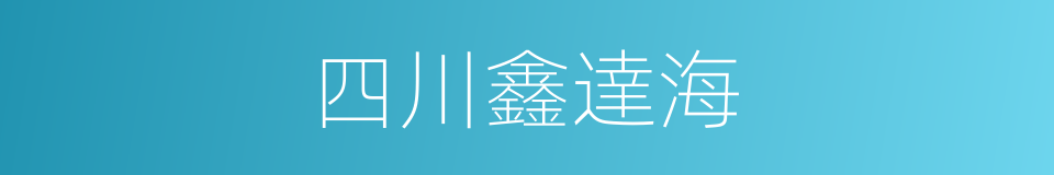 四川鑫達海的同義詞