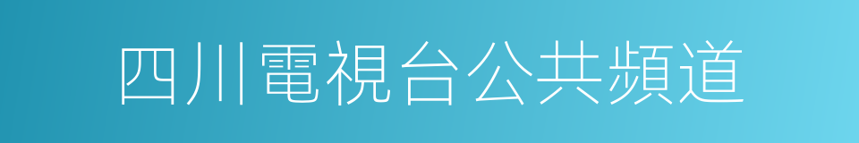 四川電視台公共頻道的同義詞