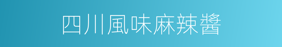 四川風味麻辣醬的同義詞