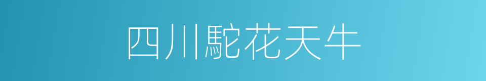 四川駝花天牛的同義詞