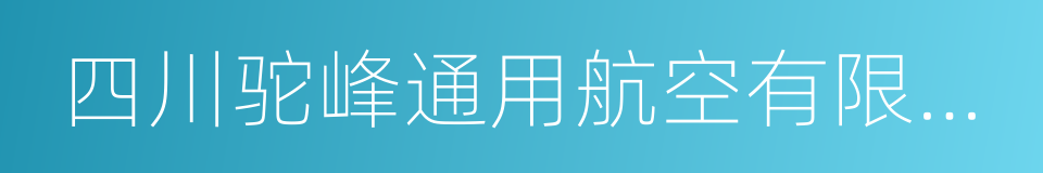 四川驼峰通用航空有限公司的同义词