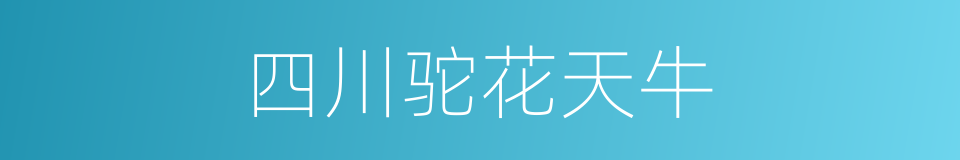四川驼花天牛的同义词