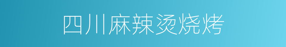 四川麻辣烫烧烤的同义词