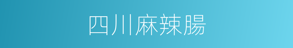 四川麻辣腸的同義詞