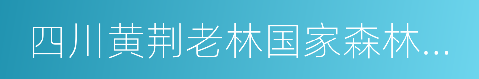 四川黄荆老林国家森林公园的同义词