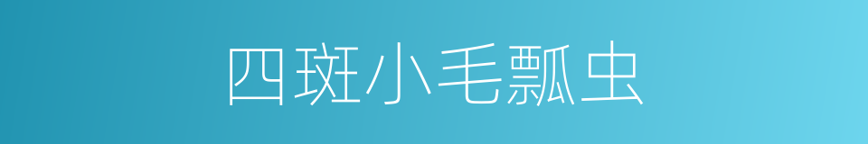 四斑小毛瓢虫的同义词