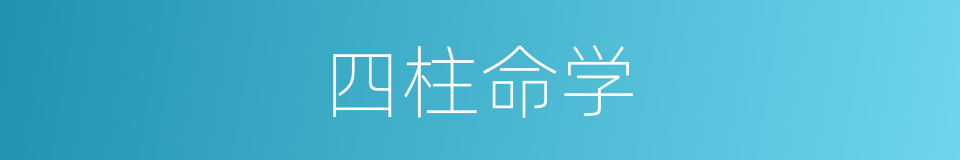 四柱命学的同义词