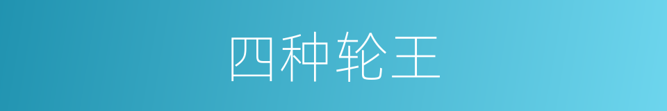 四种轮王的同义词