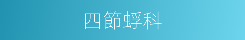 四節蜉科的同義詞