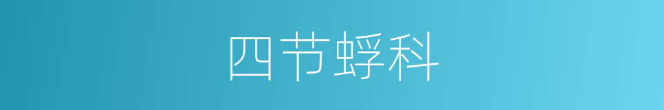 四节蜉科的同义词