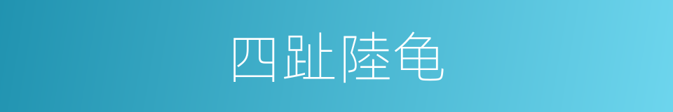 四趾陸龟的同義詞