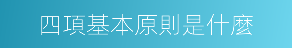 四項基本原則是什麼的同義詞