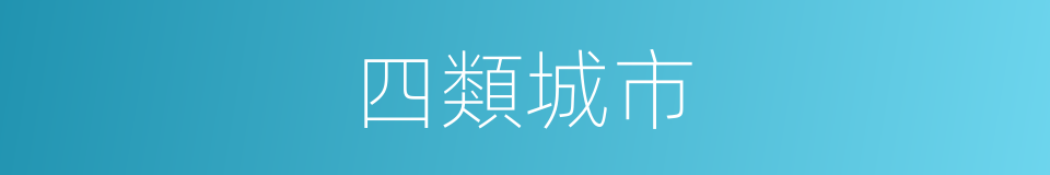四類城市的同義詞