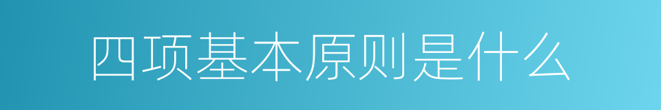 四项基本原则是什么的同义词