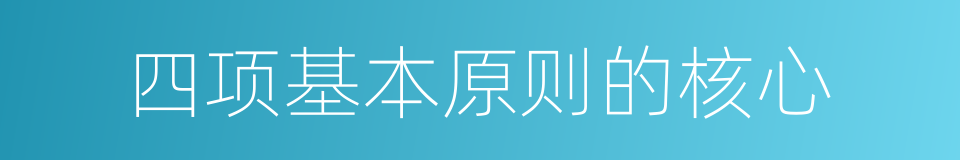 四项基本原则的核心的同义词