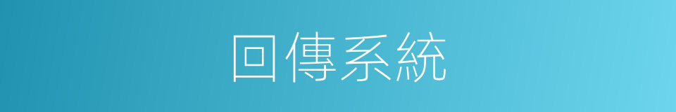 回傳系統的同義詞