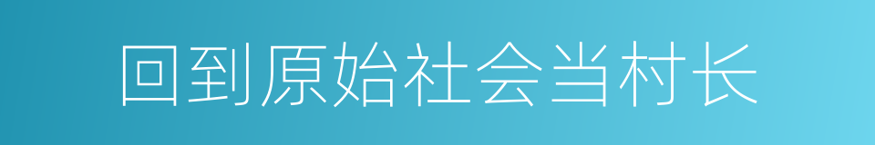 回到原始社会当村长的同义词