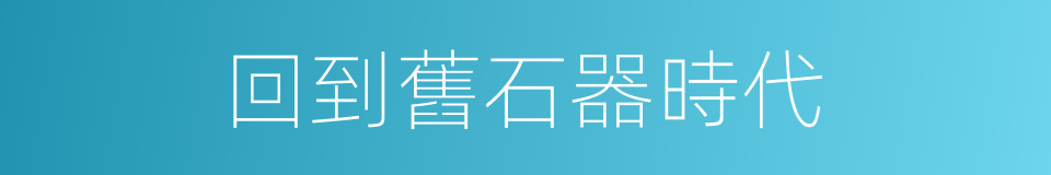 回到舊石器時代的同義詞