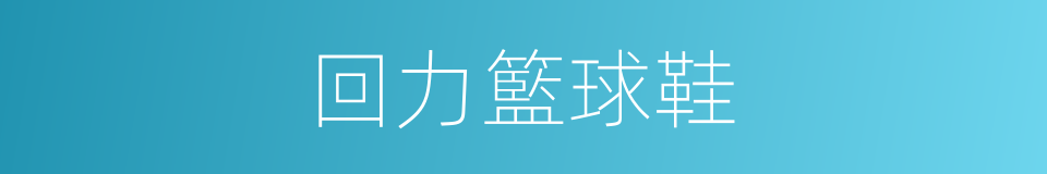 回力籃球鞋的同義詞