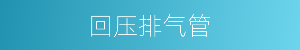 回压排气管的同义词