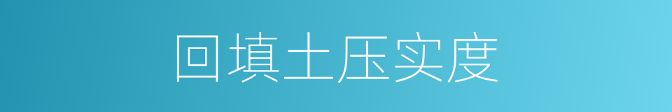 回填土压实度的同义词