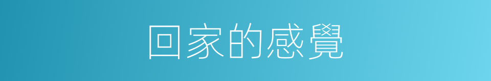 回家的感覺的同義詞