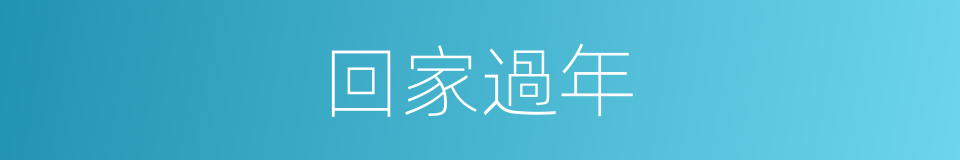 回家過年的同義詞