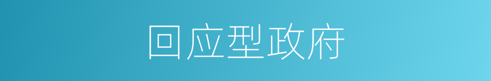 回应型政府的同义词