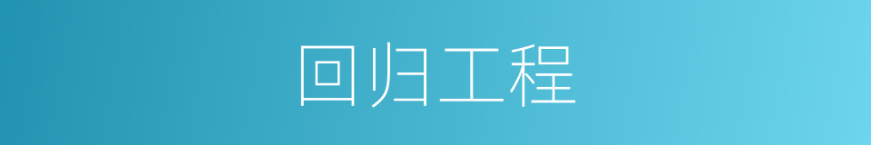 回归工程的同义词