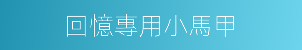 回憶專用小馬甲的同義詞