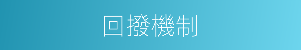 回撥機制的同義詞