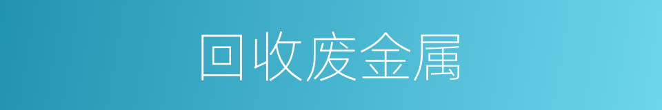 回收废金属的同义词