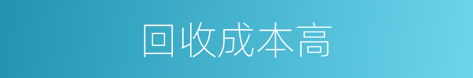 回收成本高的同义词