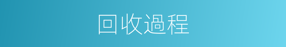 回收過程的同義詞