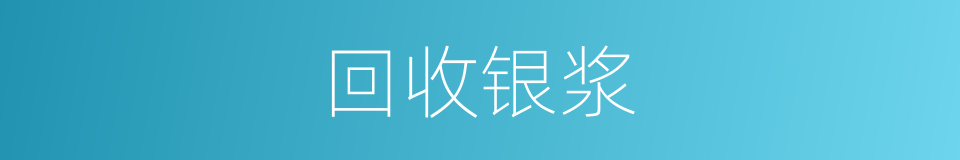 回收银浆的同义词