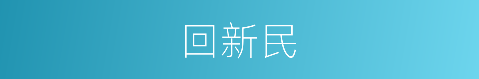 回新民的同义词