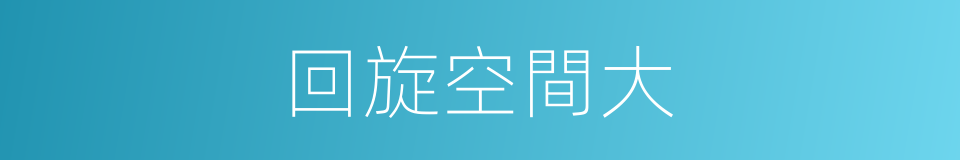 回旋空間大的同義詞