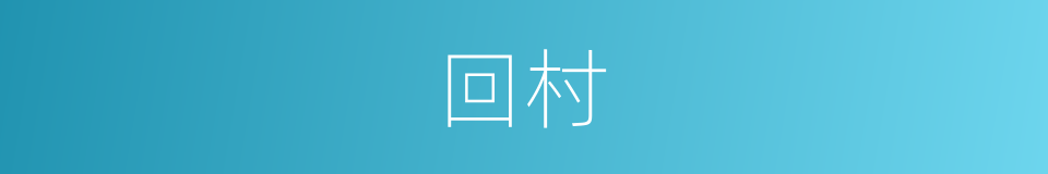 回村的同义词