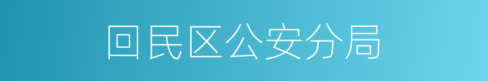 回民区公安分局的同义词