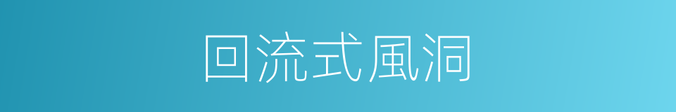回流式風洞的同義詞
